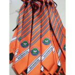 ডিজিটাল প্রিন্ট স্কুল টাই 16-18in - Image 2