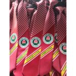 ডিজিটাল প্রিন্ট স্কুল টাই 16-18in - Image 13